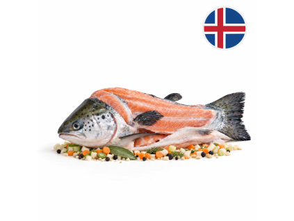 Islandský losos - skelet na polévku mražený 700g+ — Produktová fotografie