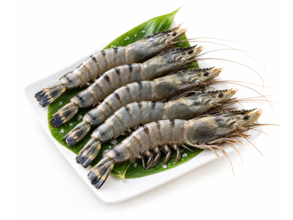 Krevety black tiger 13/15 HOSO (neloupané, s hlavou) 1kg — Produktová fotografie