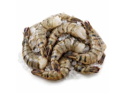 Krevety black tiger 16/20 HLSO Easy peel (neloupané, bez hlavy) 1kg — Produktová fotografie