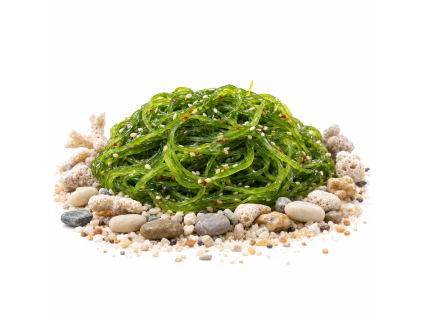 Wakame salát 250g — Produktová fotografie