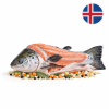 Islandský losos - skelet na polévku mražený 700g+ — Produktová fotografie