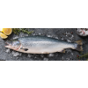 Norský losos obecný 5 porcí s kůží, bez kostí 750g — Nová fotografie 2