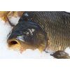 Organic carp fillet with skin, without bones, min. 500g