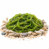 Wakame salát 250g — Produktová fotografie