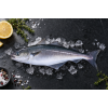 Divoká Treska tmavá 5 porcí bez kůže, bez kostí 750g — Nová fotografie 2