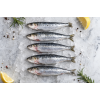 Sardinka evropská, celá, vel. 8-15, 1000g — Nová fotografie 2