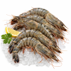 Krevety black tiger 8/12 HOSO (neloupané, s hlavou) 1kg — Produktová fotografie